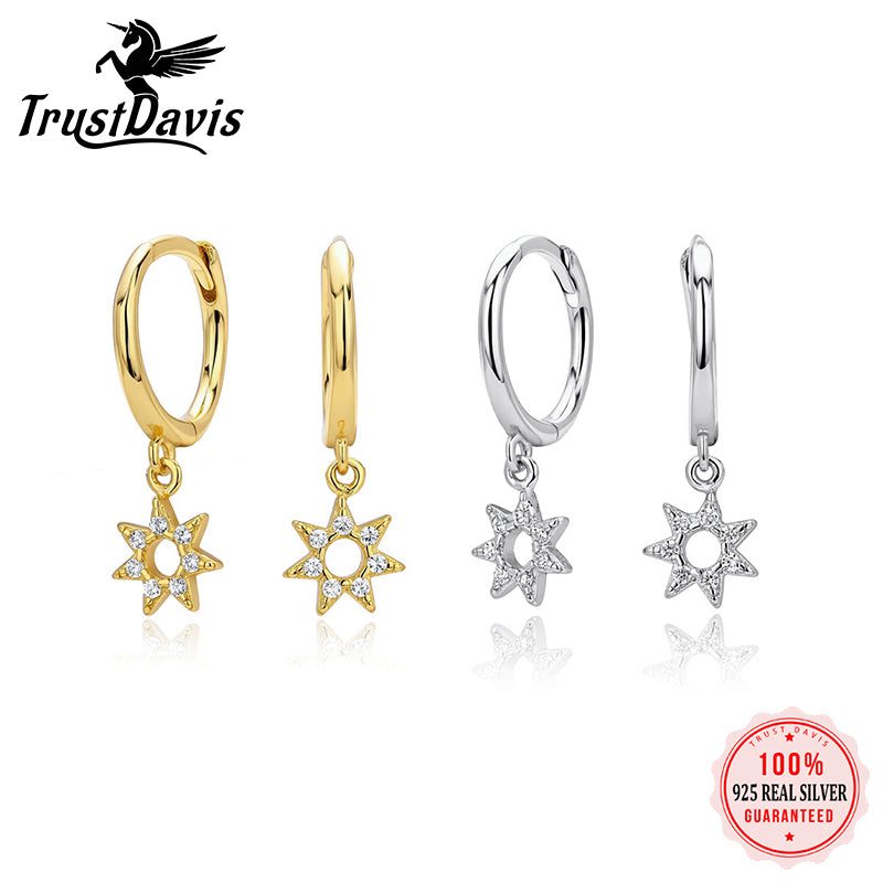 Hollowed-out Star Zircon Stud Earrings DS4910
