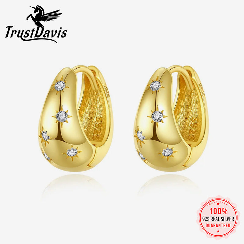 Fashion Water Drop CZ Hoop Earrings DG0041