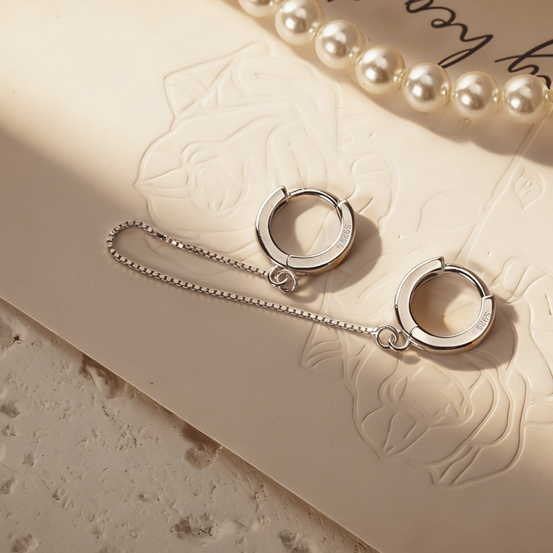 Fashion Box Chain Double Hoop Earrings DA2275