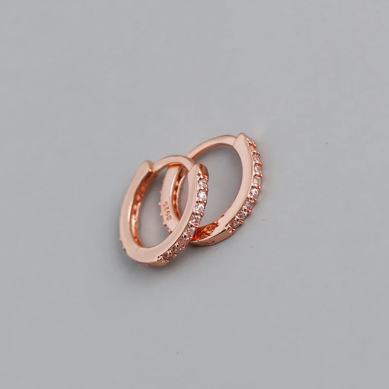 Colour Zircon Charm Hoop Earring DA2682