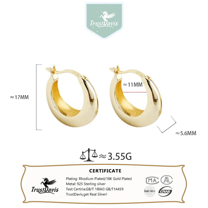 Luxury Minimalist Hoop Earrings DA3226