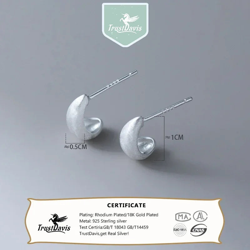 Minimalist Brushed Stud Earrings DS4444