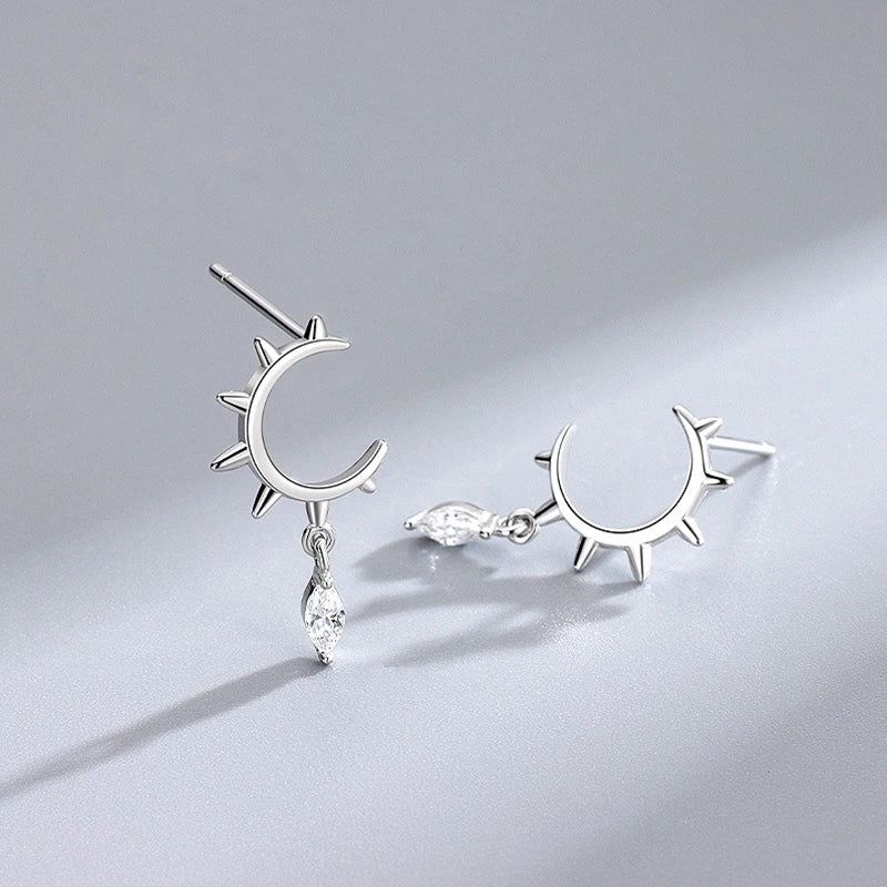 Fashion Horse Eye Zirconia Half Round Earrings DS4282