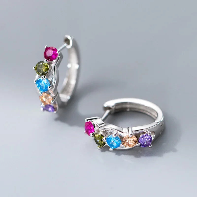 925 Sterling Silver Fine Geometry Zircon Hoop Earrings DS4428