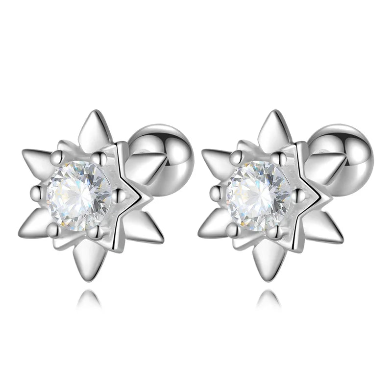 Colorful Star Zircon Sparkling Earrings DS4153