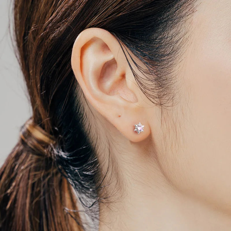 Colorful Star Zircon Sparkling Earrings DS4153