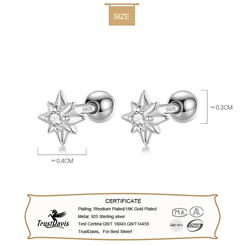 Star Screw Stud Earrings DS3674
