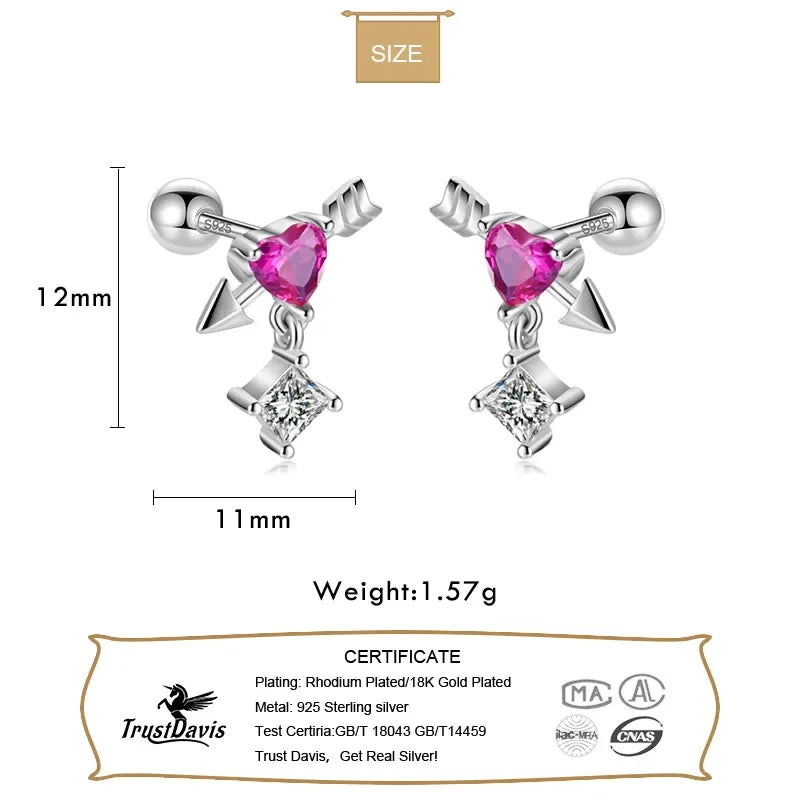 Heart Arrow Shiny Screw Stud Earrings DF236