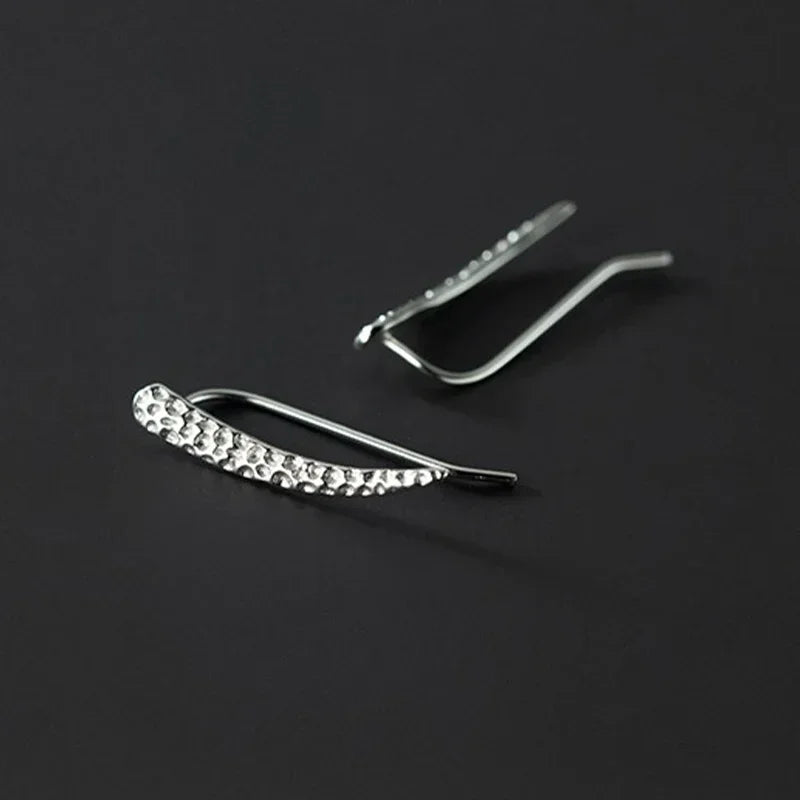 Geometric Ear Hook Earrings DS4096