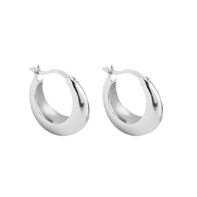 Luxury Minimalist Hoop Earrings DA3226
