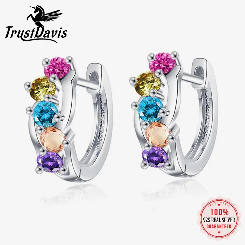 925 Sterling Silver Fine Geometry Zircon Hoop Earrings DS4428