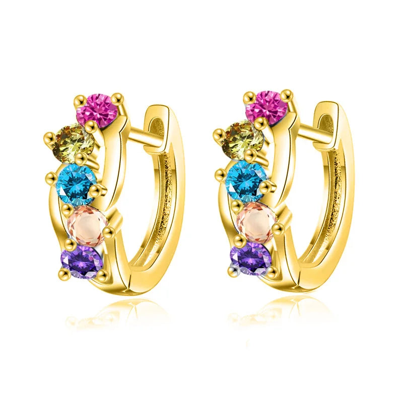 925 Sterling Silver Fine Geometry Zircon Hoop Earrings DS4428