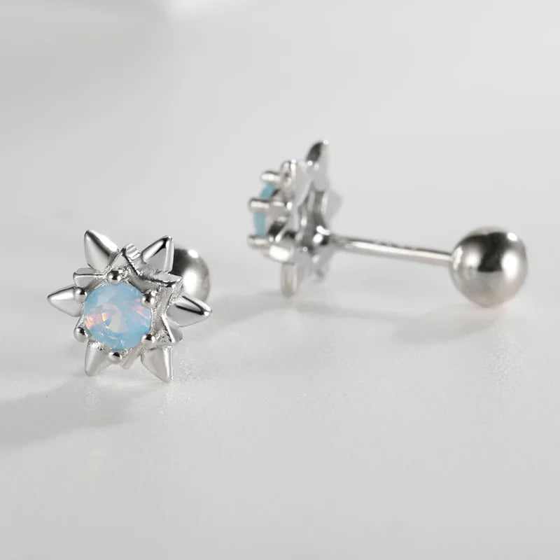 Colorful Star Zircon Sparkling Earrings DS4153