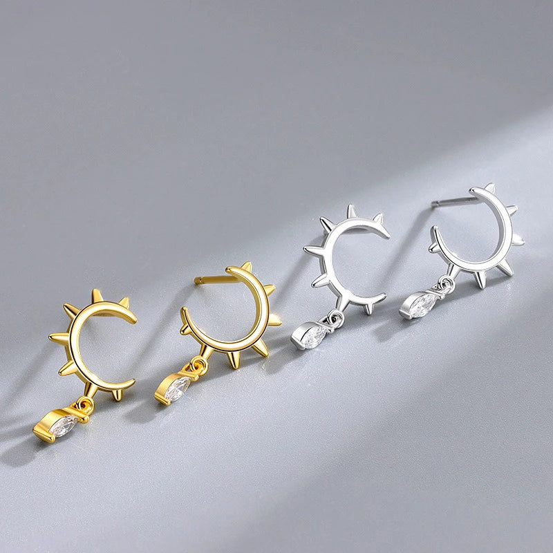 Fashion Horse Eye Zirconia Half Round Earrings DS4282