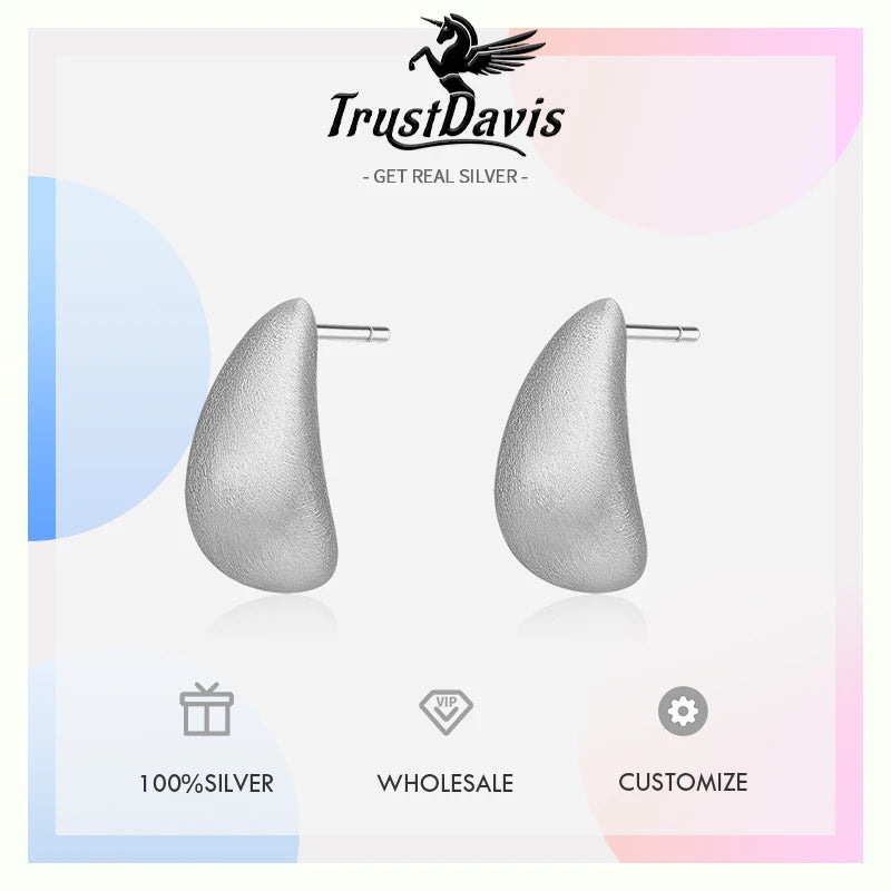 Minimalist Brushed Stud Earrings DS4444