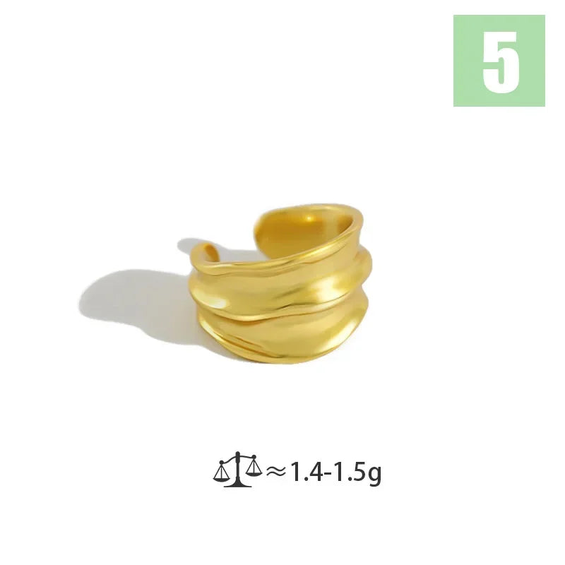 Cool Ear Cuff Clip on Earrings DS3931