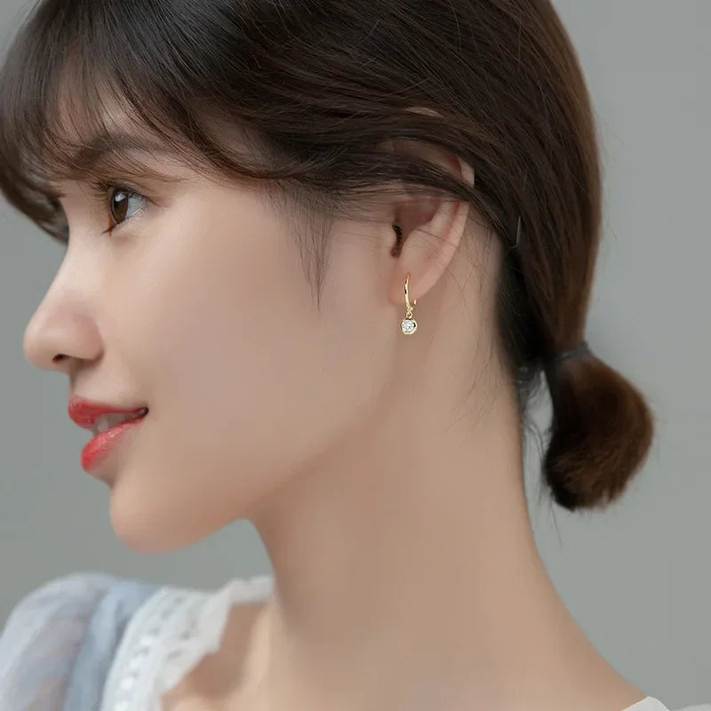 Fashion Round Shiny CZ Charm Hoop Earrings DB1160