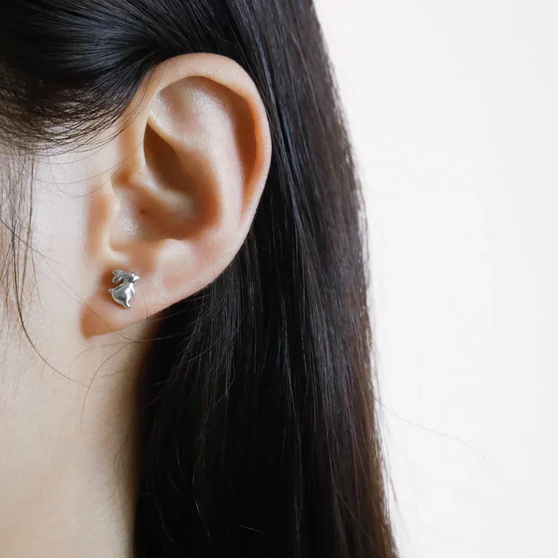 Trustdavis Real 925 Sterling Silver Chinese Zodiac Signs Screw Stud Earrings For Women Daughter Birthday Gift Jewelry DS4430