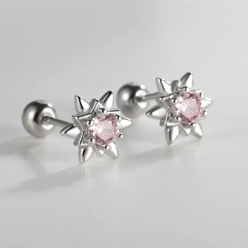 Colorful Star Zircon Sparkling Earrings DS4153