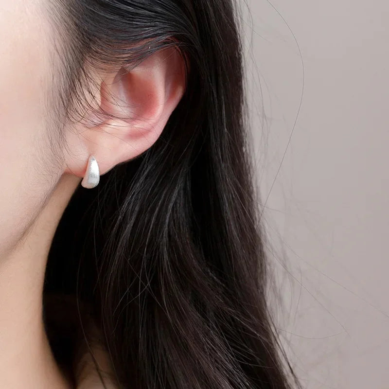Minimalist Brushed Stud Earrings DS4444