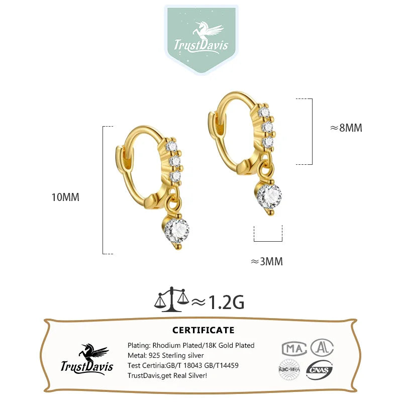 TrustDavis Fashion Geometric Hoop Earrings S925 Sterling Silver Drop Earrings Zircon Personality for Women Party Jewelry L458