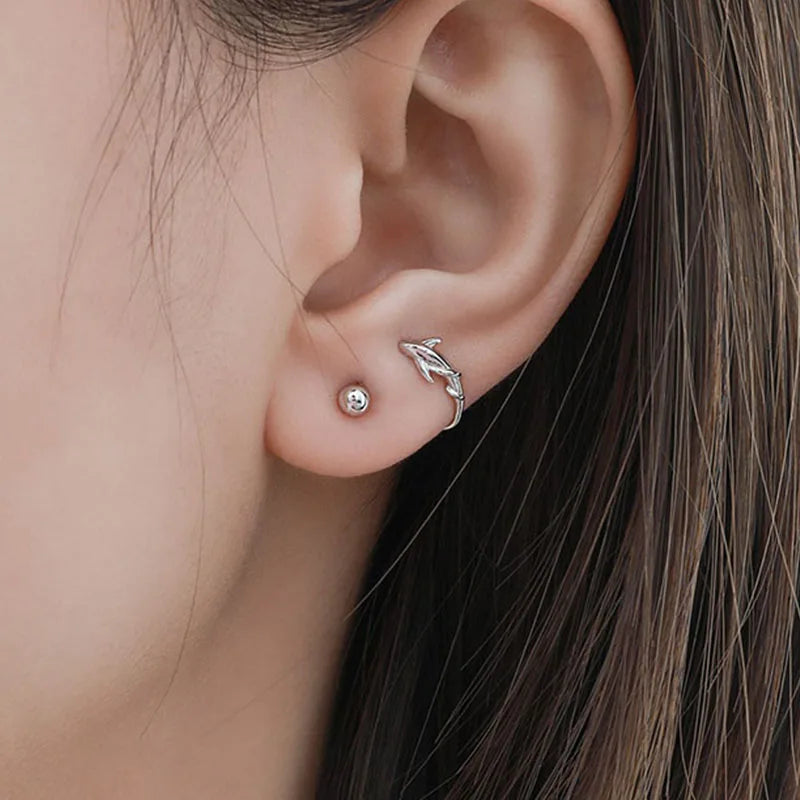 Silver Shark Screw Earrings DS5028
