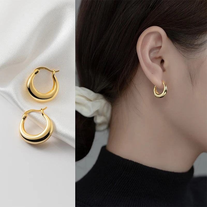 Luxury Minimalist Hoop Earrings DA3226
