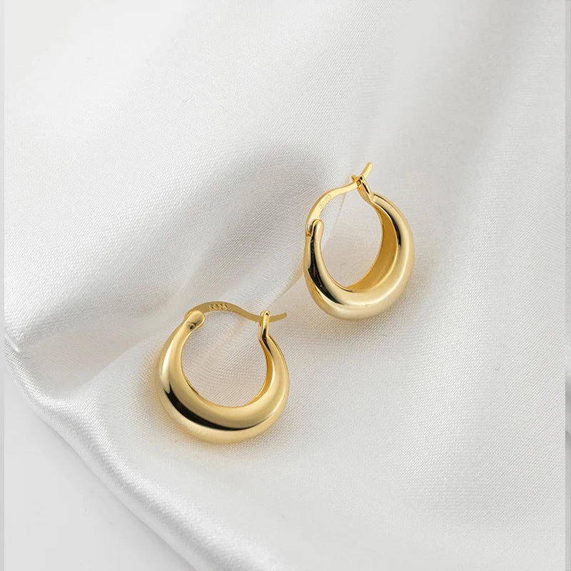 Luxury Minimalist Hoop Earrings DA3226