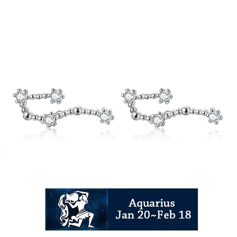 Trustdavis 100% 925 Solid Real Sterling Silver Jewelry 12 Constellation Stud Earrings Birthday Gift For Women Girls DA330