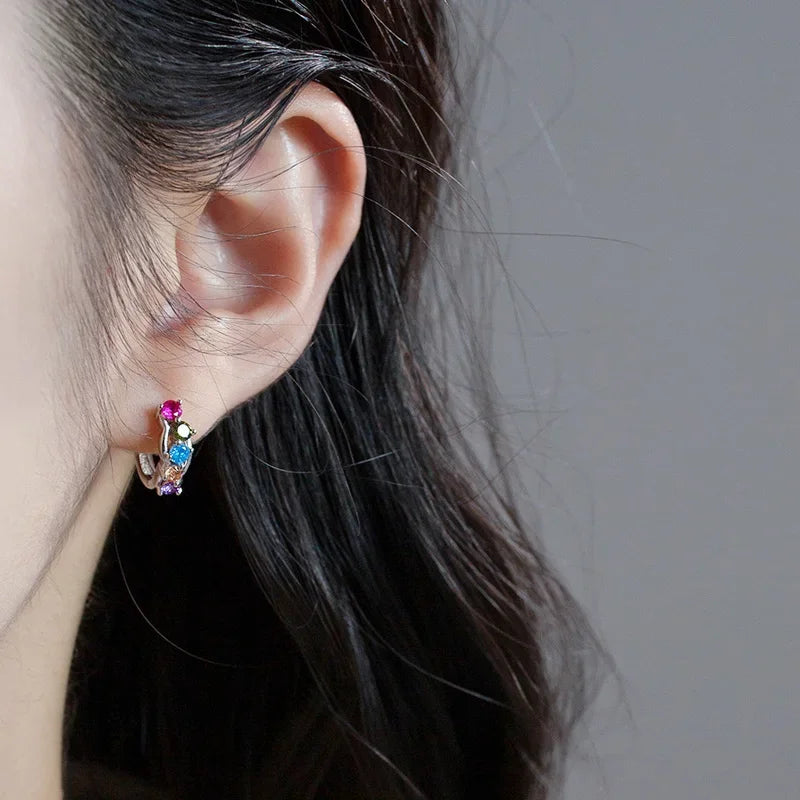 925 Sterling Silver Fine Geometry Zircon Hoop Earrings DS4428