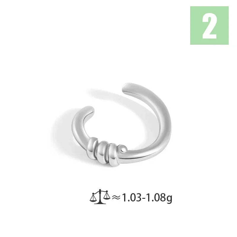 Cool Ear Cuff Clip on Earrings DS3931