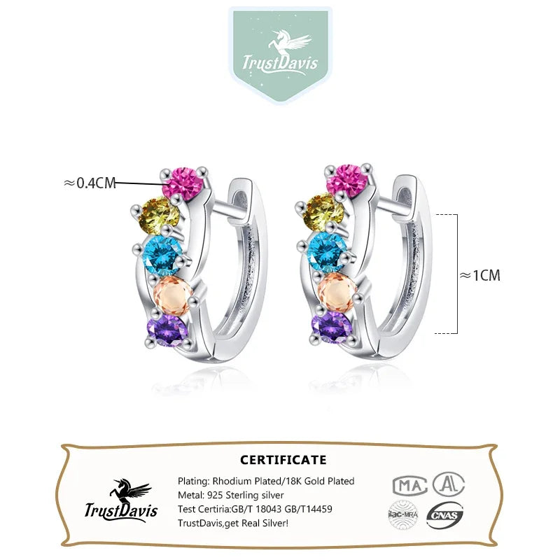 925 Sterling Silver Fine Geometry Zircon Hoop Earrings DS4428