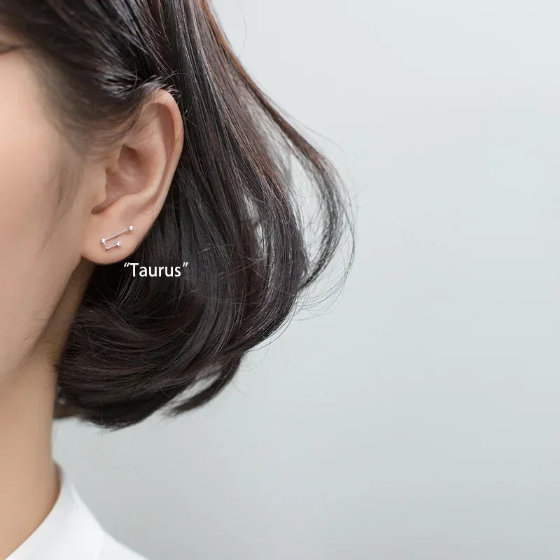 Trustdavis 100% 925 Solid Real Sterling Silver Jewelry 12 Constellation Stud Earrings Birthday Gift For Women Girls DA330