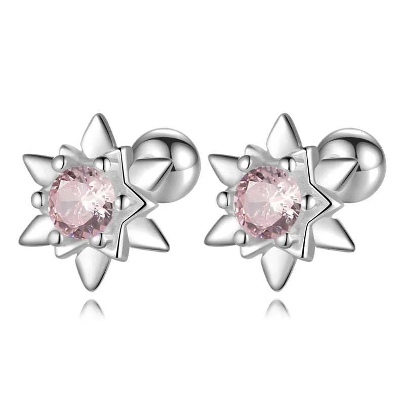 Colorful Star Zircon Sparkling Earrings DS4153