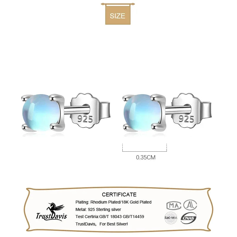 Small Gradient Color Composition Glass Stud Earrings DA48