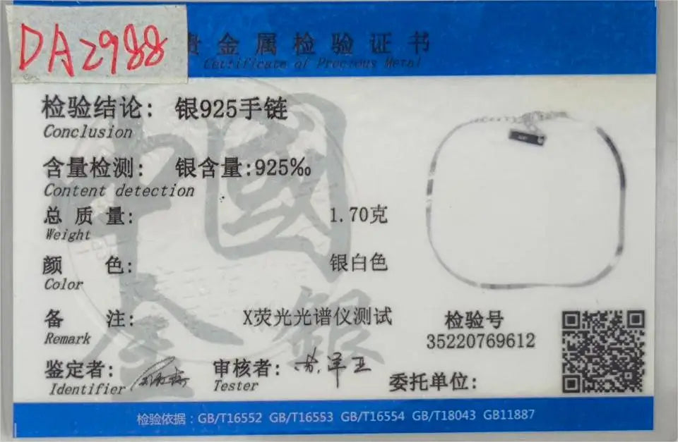 Snake Chain Anklets DA2988