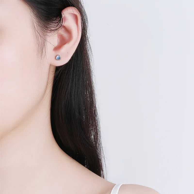 Heart Screw Stud Earrings DA1979