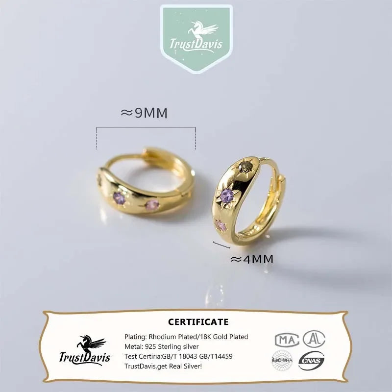 Trendy Minimalist Hoop Earrings DS4484