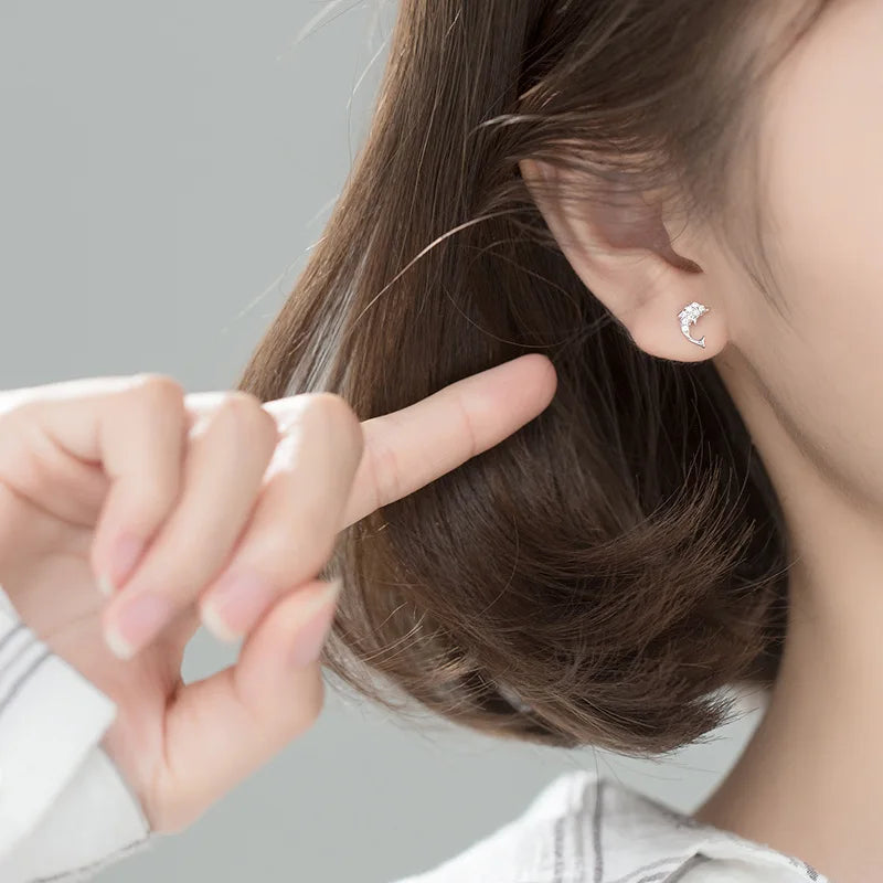 Cute Symmetrical Dolphins Stud Earrings DA1398