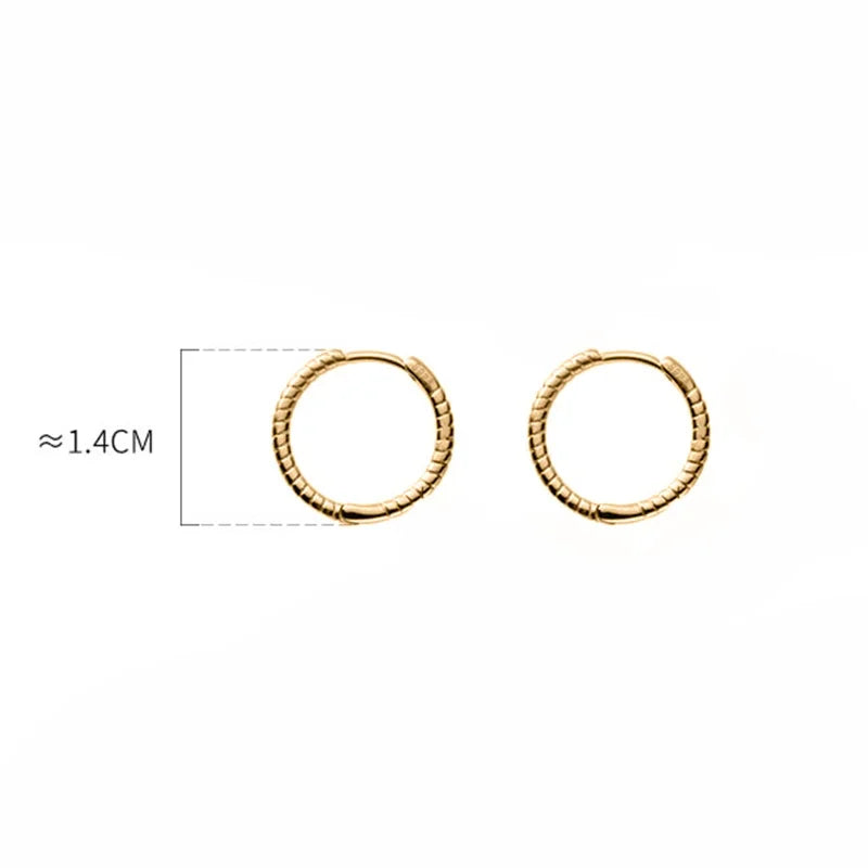 Geometric Twist Charm Hoop Earring DA3003