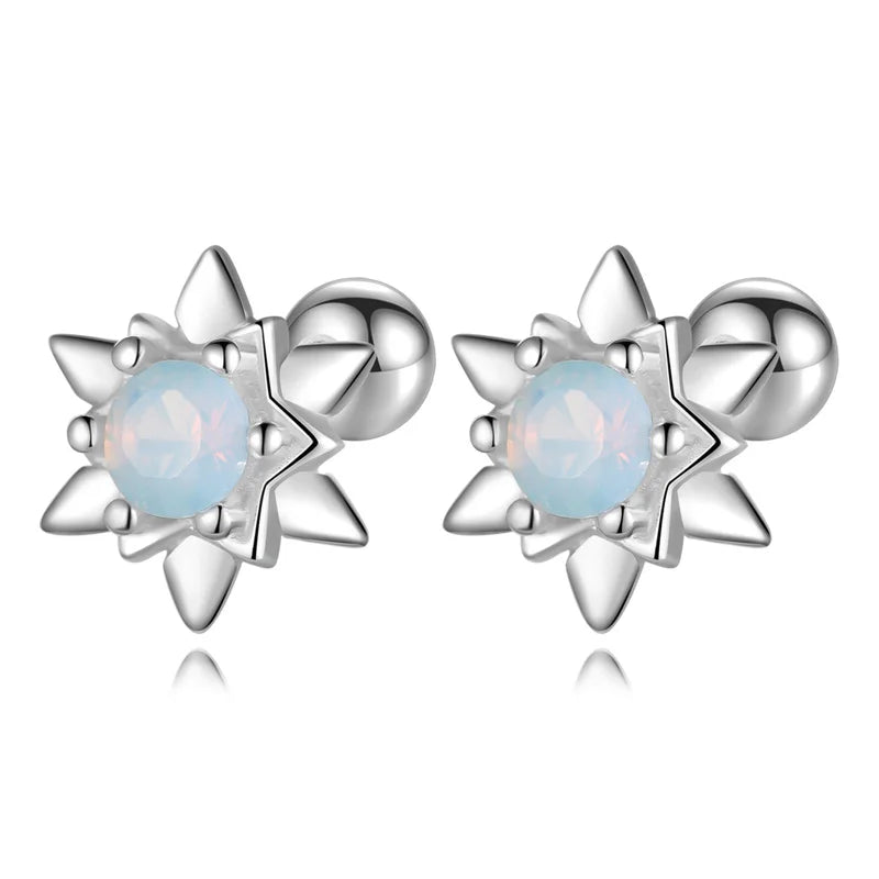 Colorful Star Zircon Sparkling Earrings DS4153