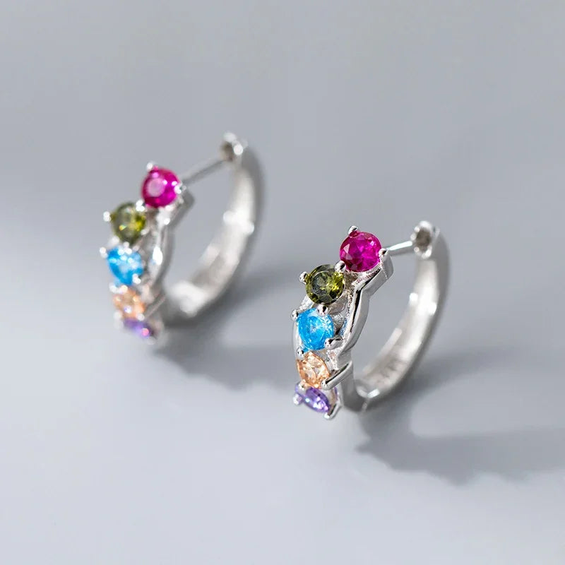 925 Sterling Silver Fine Geometry Zircon Hoop Earrings DS4428