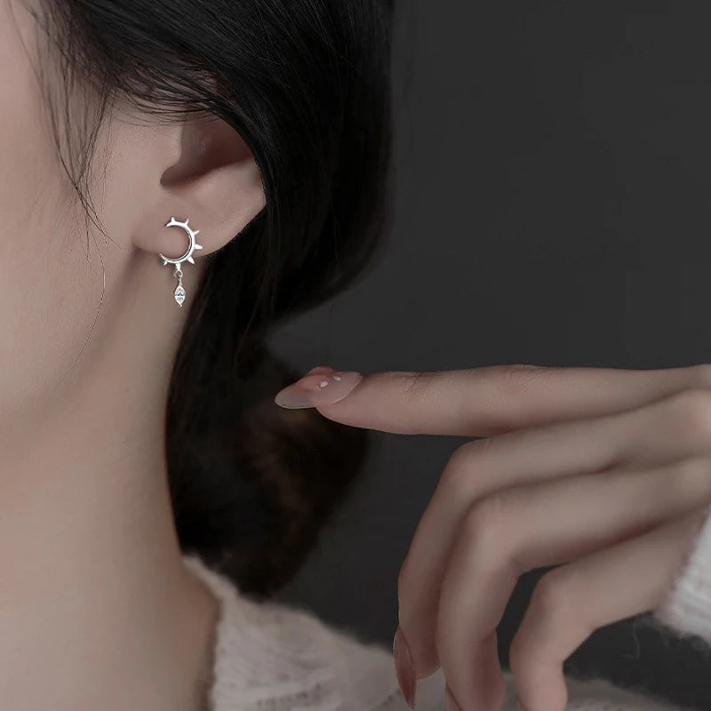 Fashion Horse Eye Zirconia Half Round Earrings DS4282