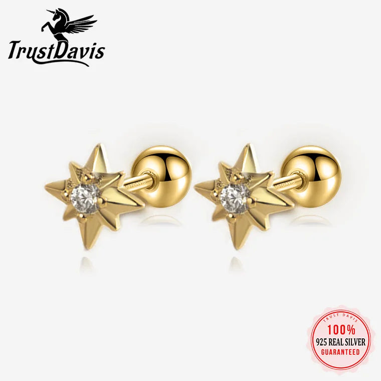 Star Screw Stud Earrings DS3674