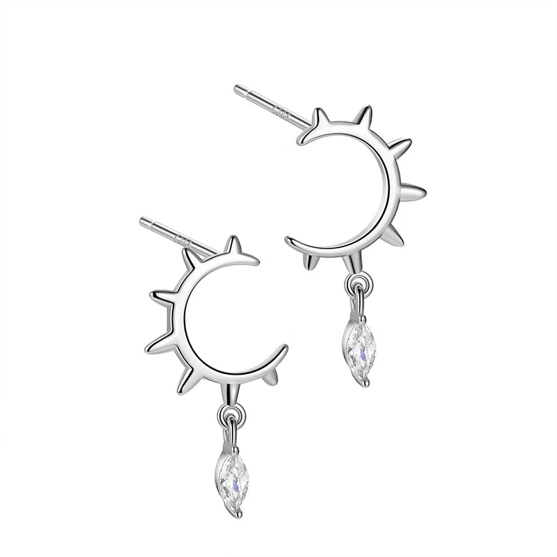 Fashion Horse Eye Zirconia Half Round Earrings DS4282