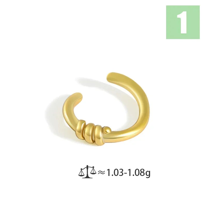 Cool Ear Cuff Clip on Earrings DS3931