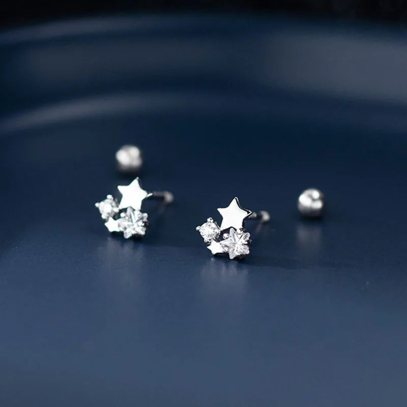Star-shaped Zircon Silver Stud Earrings DS4904