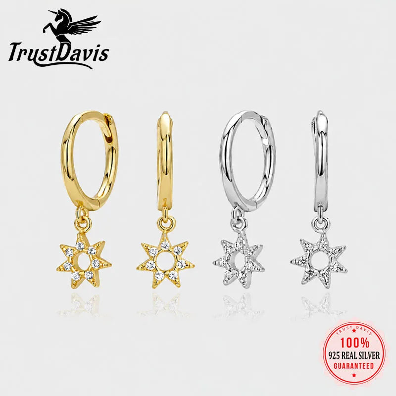 Hollowed-out Star Zircon Stud Earrings DS4910