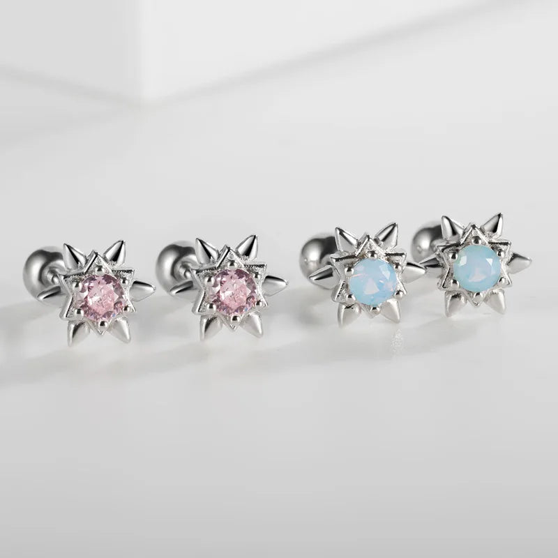 Colorful Star Zircon Sparkling Earrings DS4153
