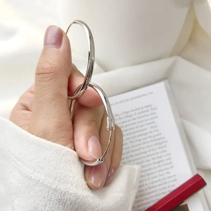 Fashion Big Hoop Huggie Earrings DA1412